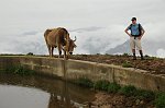 Il monte di Tremezzo (1700 m) e il monte Crocione (1641) in Val d'Intelvi (CO) il 14 sett. 08 - FOTOGALLERY